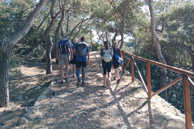 Guided Kayak & Hike from Sant Elm to Sa Dragonera - Museum stop plus island free time: history on land, turquoise water after