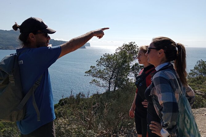 Guided Kayak & Hike from Sant Elm to Sa Dragonera - Price and value: $78.31 for a guided island day with gear included