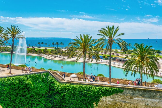 Guided Route through Palma with Cathedral and visit to Valldemossa (4H) - Going Inside Palma Cathedral: The Interior and Museum Portion