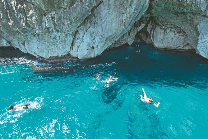 Half Day Boat Trip in the Bay of Alcudia - Who this trip suits best (and who might want something else)