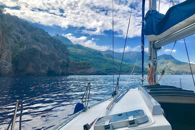 Half Day Sailing Excursion along the Coast - Key Things to Know Before You Go
