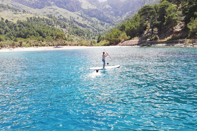 Half Day Sailing Excursion along the Coast - How Much It Costs, and When It Feels Like Real Value