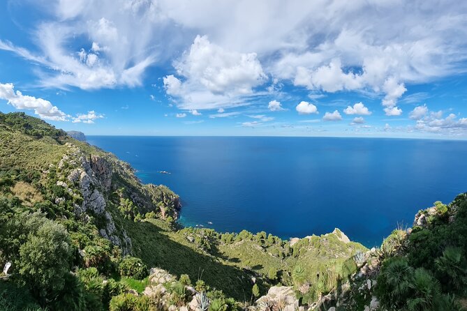 Half Day Slingshot Tour from Paguera - Estellencs and the Mirador d’en Ricardo Roca Tower