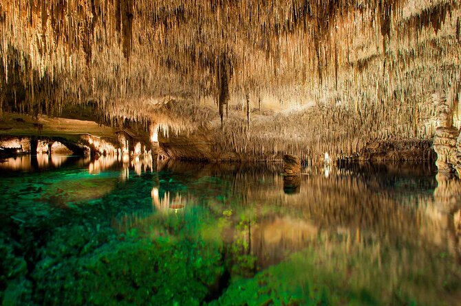 Half Day Tour Bus to the Caves of Drach - Key highlights at a glance