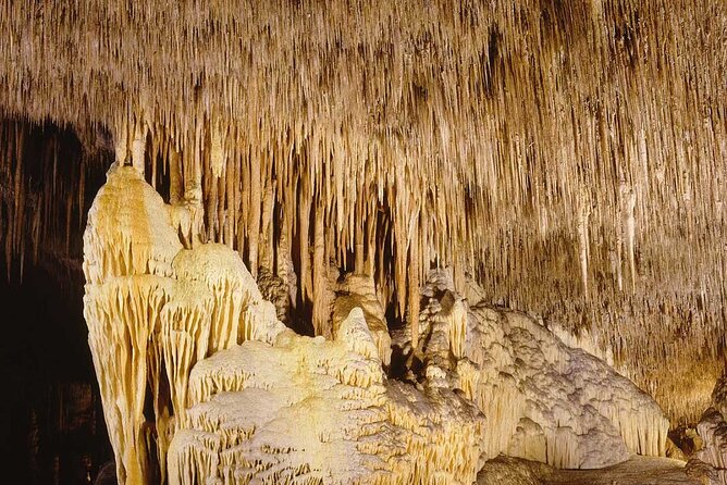 Half Day Tour Bus to the Caves of Drach - Timing, crowd flow, and how to get your best hour in the caves