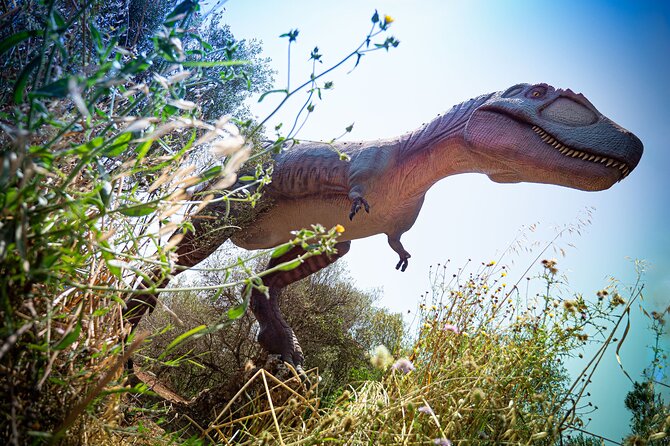 Half Day Tour to Dinosaur Land in Mallorca - Price and value: what $68.61 gets you, and what it does not