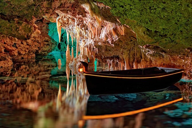 Half Day Tour to Dinosaur Land in Mallorca - The human touch: staff energy and a named guide you might hear about