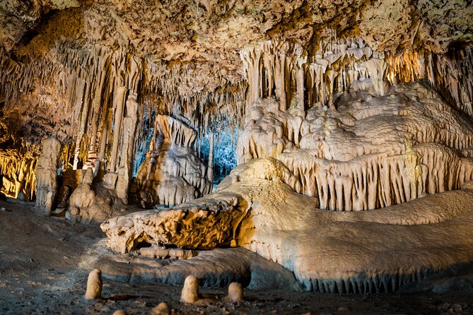 Half Day Tour to Dinosaur Land in Mallorca - Who should book this tour, and who should think twice