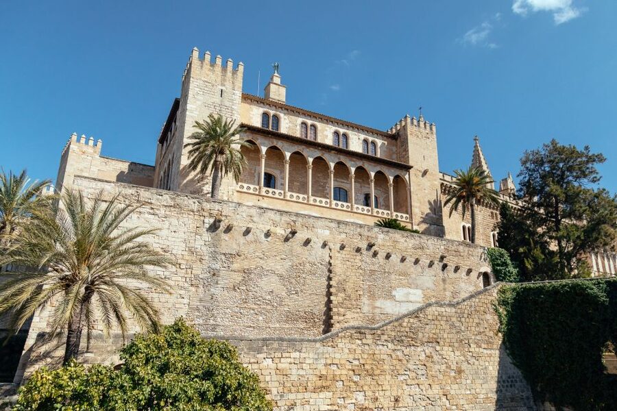 Highlights & Hidden Gems of Palma de Mallorca Private Tour - Meeting point at Hotel de Cort, front of the olive tree