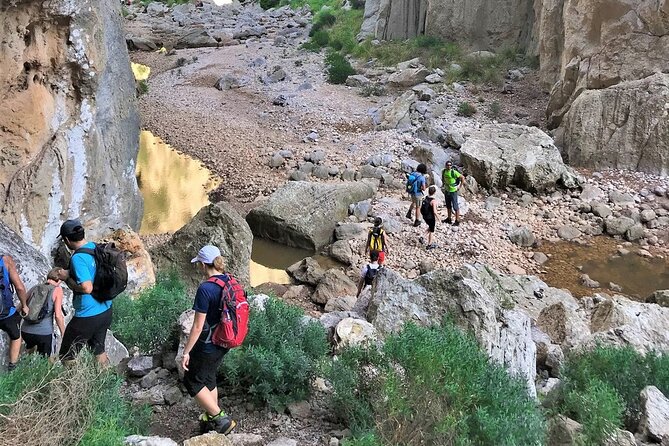 Hiking Private Tour in Pollensa - Why This Pollenca Hiking Tour Feels More Like an Outing Than a Bus Trip
