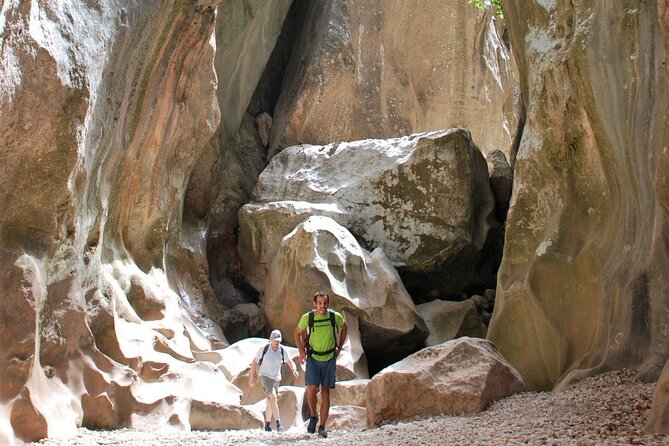 Hiking Private Tour in Pollensa - Your Half-Day Game Plan in Real Walking Terms