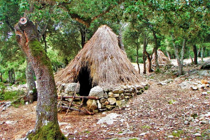 Hiking Private Tour in Pollensa - Alcúdia and Formentor: Quick Stops With Purpose