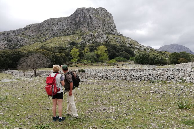 Hiking Private Tour in Pollensa - Choosing the Right Route Option Without Overthinking It