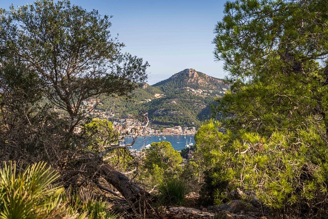 Hiking Tour into the sunset - Port Andratx to Sant Elm - Port dAndratx to Sant Elm: the sunset idea that actually makes sense