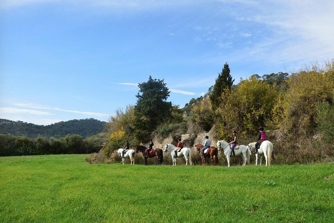 Horseback Riding in Randa Valleys, Mallorca, Spain - Key things I’d pay attention to before you book