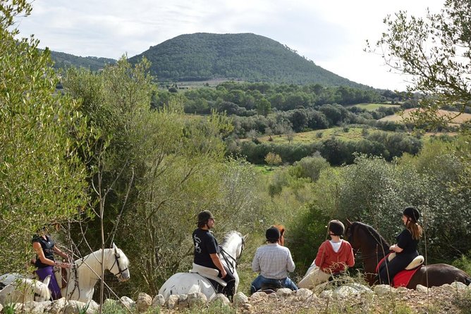 Horseback Riding in Randa Valleys, Mallorca, Spain - The 30-minute dressage lesson that actually helps