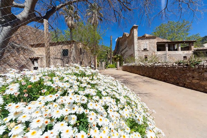 Jardines de Alfabia Tickets - Who should book Jardines de Alfabia tickets (and who might not love it)