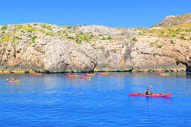 Kayak Secret Beach - Price and Value: Is $84.10 Worth It for 3.5 Hours?