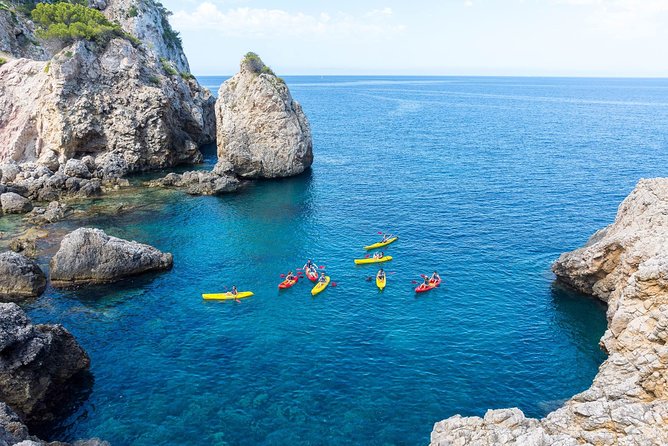 Kayak Tour to Malgrat's Islands from Santa Ponsa - Swimming and reef watching: the part you’ll remember