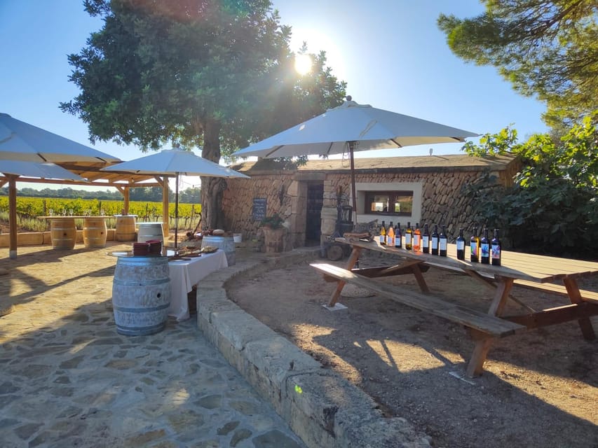 Llucmajor: Bodegas Bordoy Wine Tour - Key highlights I’d plan around