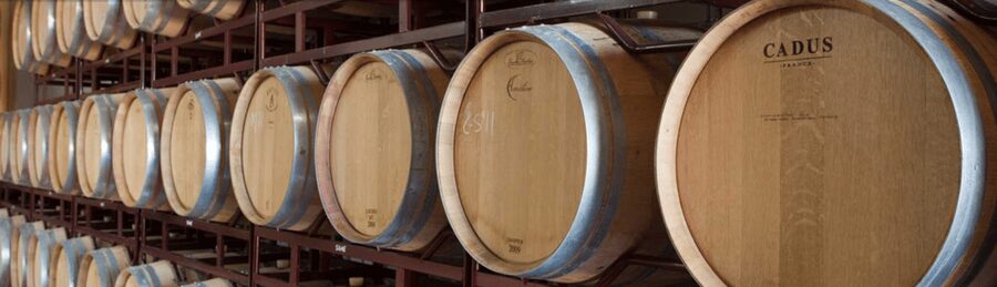Llucmajor: Bodegas Bordoy Wine Tour - First stop: the guided winery walk (production room and barrel room)