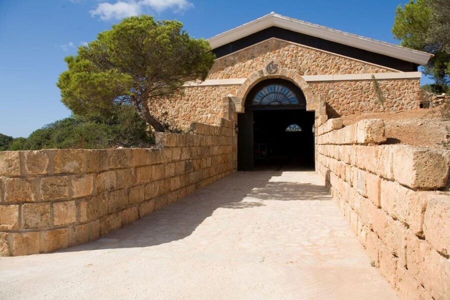 Llucmajor: Bodegas Bordoy Wine Tour - Your 10 am English or 12 pm German timing