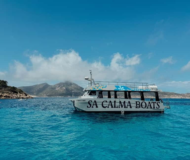 Majorca: Visit the Natural Park of Dragonera Island by boat - Where You Start: Sant Elm Pier (Plus a Parking Tip That Saves Stress)