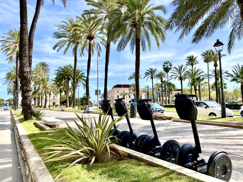 Mallorca: 2.5 H Sightseeing Segway Tour with Local Guide - Price and value: is $96 a good deal for Palma?