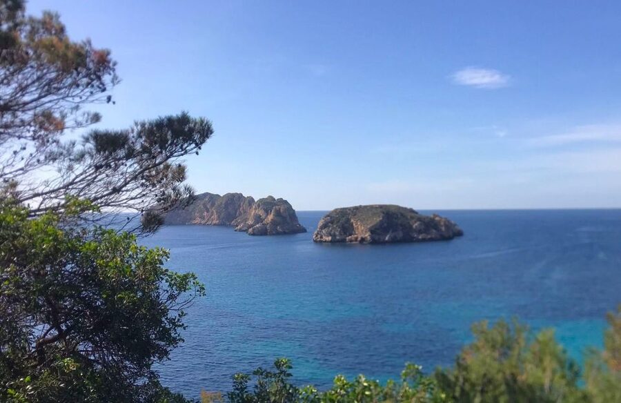 Mallorca: 2-Hour Coastline & Malgrat Islands Catamaran Tour - The 20-Minute Swim Stop: How to Make It Count