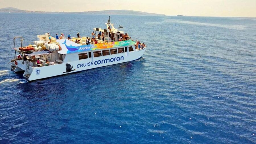 Mallorca: 2-Hour Dolphin Watching Cruise & Glass-Bottom Boat - Key highlights to know before you go