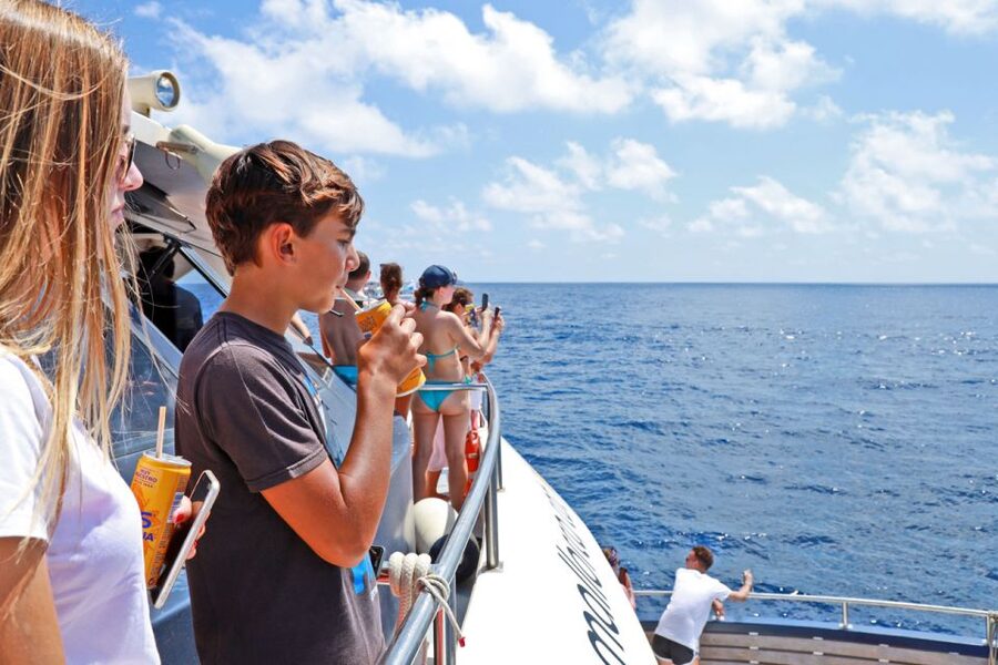 Mallorca: 2-Hour Dolphin Watching Cruise & Glass-Bottom Boat - Drinks, Food, and the On-Board Convenience Factor