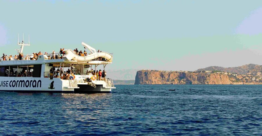 Mallorca: 2-Hour Dolphin Watching Cruise & Glass-Bottom Boat - Who This Cruise Works Best For