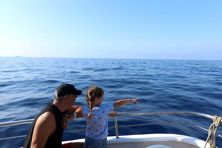 Mallorca: 3-Hour Afternoon Dolphin Watching Boat Tour - The swim stop: crystal water, snorkel gear deposit, and real conditions
