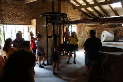 5-hours Hidden Marvels Tour