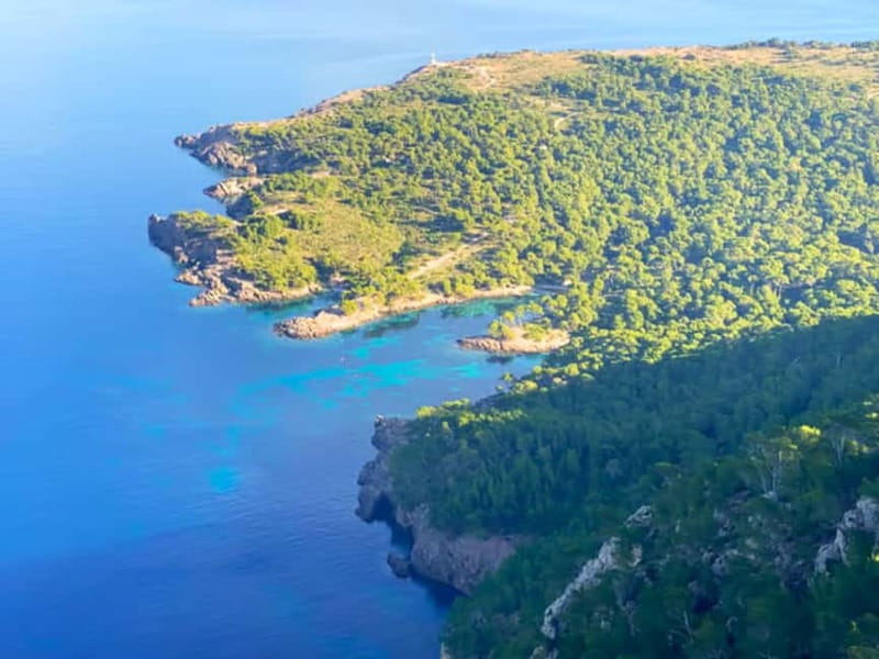 Mallorca: Alcudia: Private Boat Tour with Snorkel - Why This Private Llaüt Tour Feels Like Mallorca, Not a Checklist