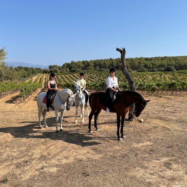 Mallorca: Authentic Horseback Ride in Rural Mallorca - Key Highlights You’ll Actually Feel