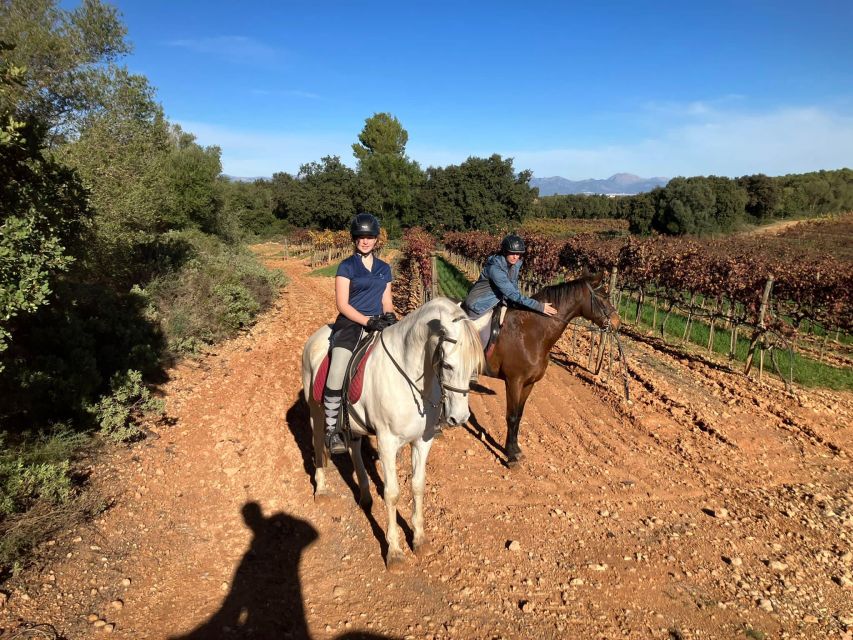 Mallorca: Authentic Horseback Ride in Rural Mallorca - Should You Book This Authentic Horseback Experience in Antigua Mallorca?