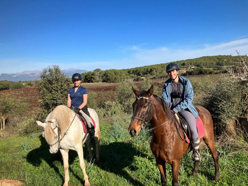 Mallorca: Authentic Horseback Ride in Rural Mallorca - What Makes This Ride Feel Like Real Rural Mallorca