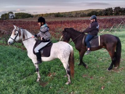Authentic Horseback Ride in Rural Mallorca
