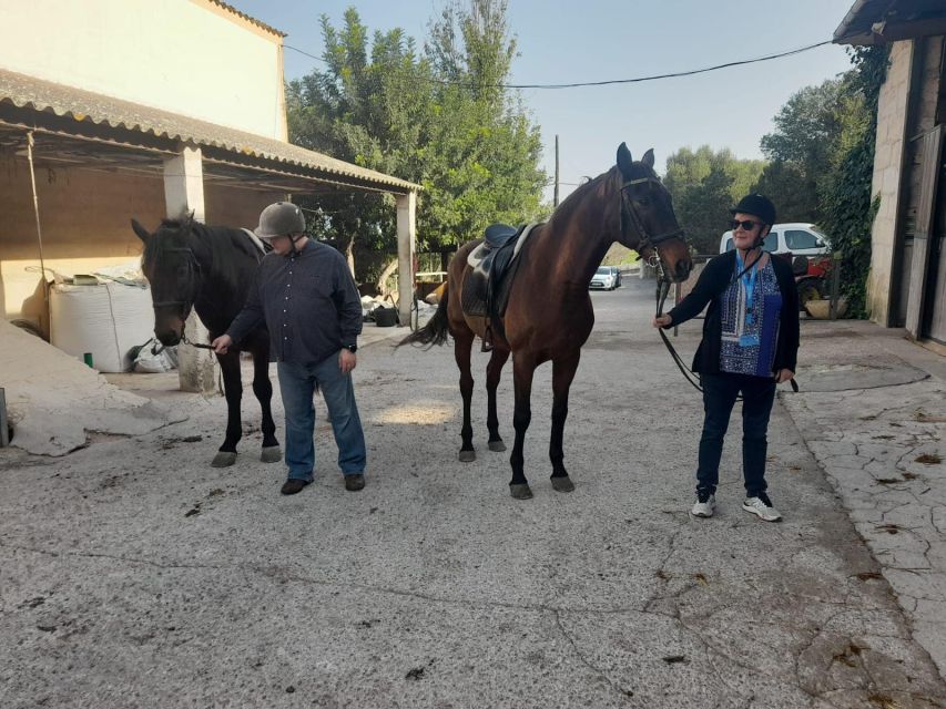 Mallorca: Authentic Horseback Ride in Rural Mallorca - Open Countryside Pace: Almond, Olive, and Canter Moments