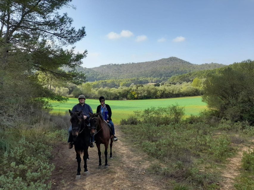 Mallorca: Authentic Horseback Ride in Rural Mallorca - Small Group Dynamics and What the Instructor Can Actually Do