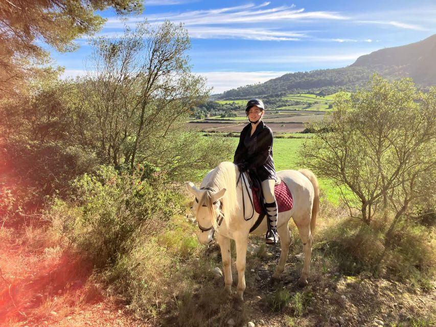 Mallorca: Authentic Horseback Ride in Rural Mallorca - Who Should Book, and Who Should Skip This One