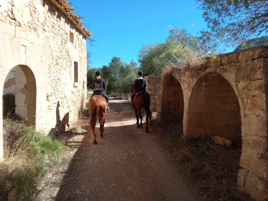Mallorca: Authentic Horseback Ride in Rural Mallorca - What to Bring, What Not to Wear, and Small Safety Reminders