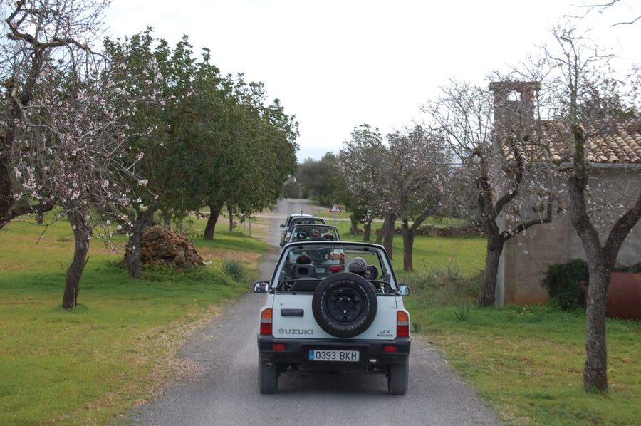Mallorca: Beach and Mountain 4X4 Tour - Price and included value: what you actually get for $89