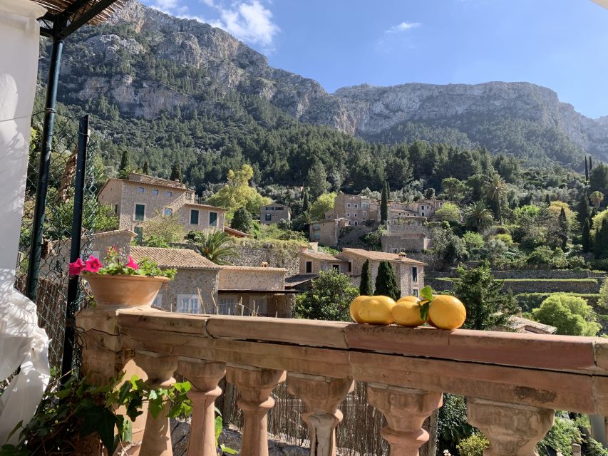 Mallorca Beyond the Guidebooks - Tour with the famous Author - Getting from Palma to the Tramuntana without the stress