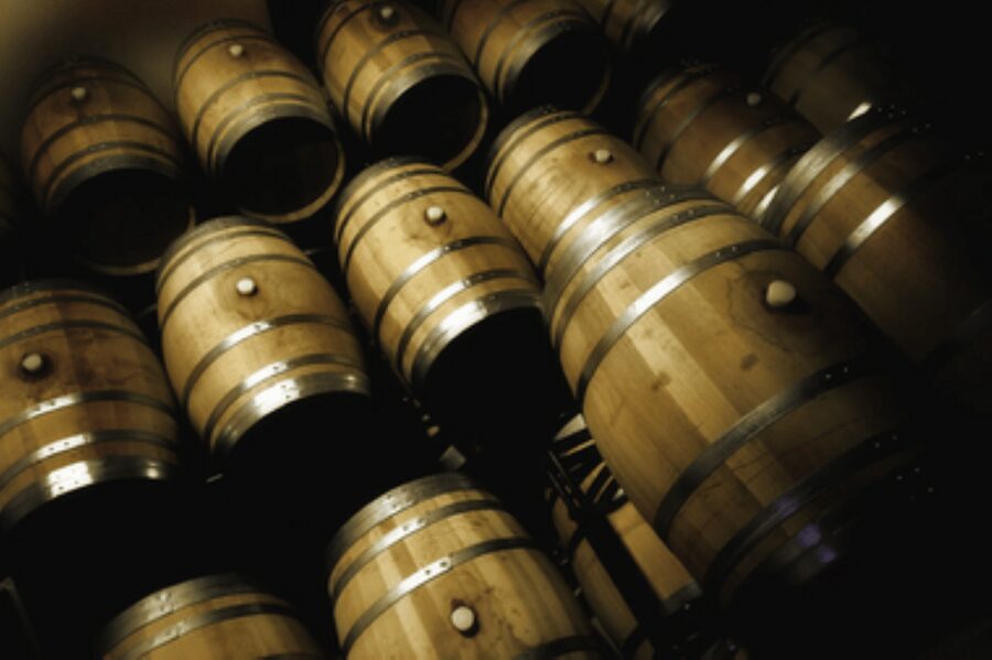 Mallorca: Bodega Butxet Vineyards & Winery Tour with Tasting - Key things I’d pay attention to