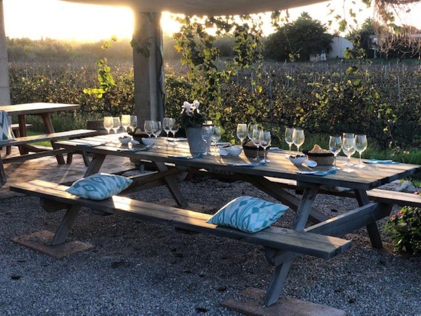 Mallorca: Bodega Butxet Vineyards & Winery Tour with Tasting - Logistics that make or break a winery visit