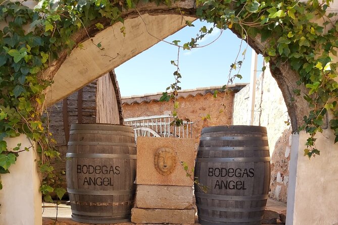 Mallorca Bodega & Olive Minibus Tour incl. Pick-up South Coast - How the minibus pickup makes the day feel shorter