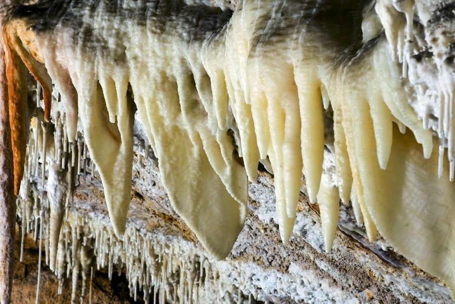 Mallorca: Campanet Caves Entry Ticket - Key highlights to know before you go