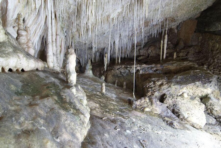 Mallorca: Campanet Caves Entry Ticket - Stalactites, Stalagmites, and the Dramatic Collapse Chambers
